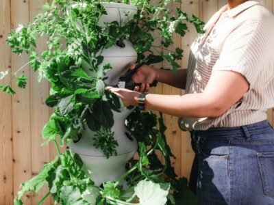 VIVERO INDUSTRIAL BARINAS